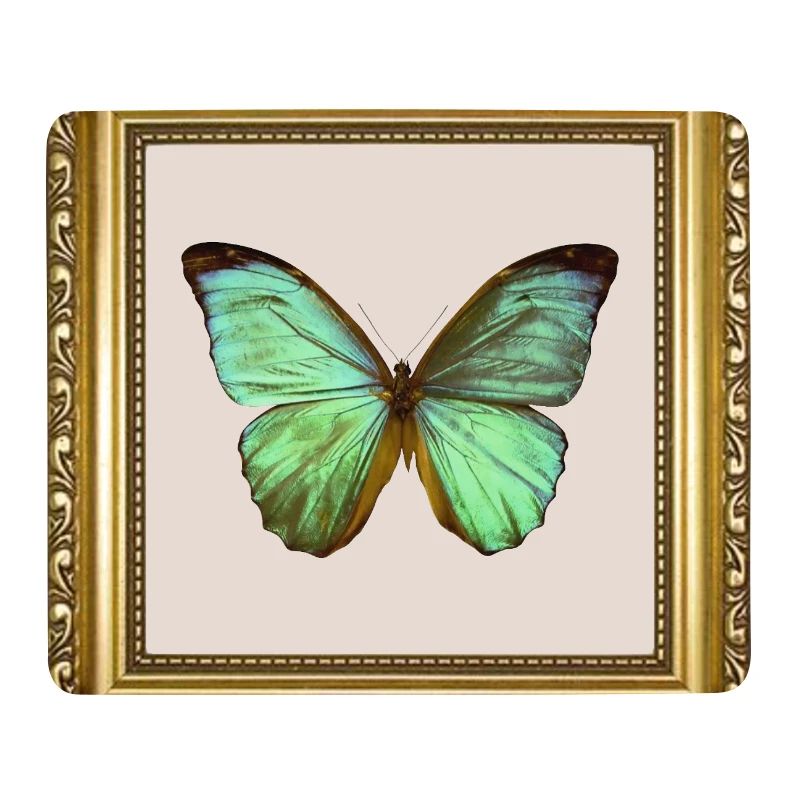 Smaragd-Schmetterling im goldenen Rahmen