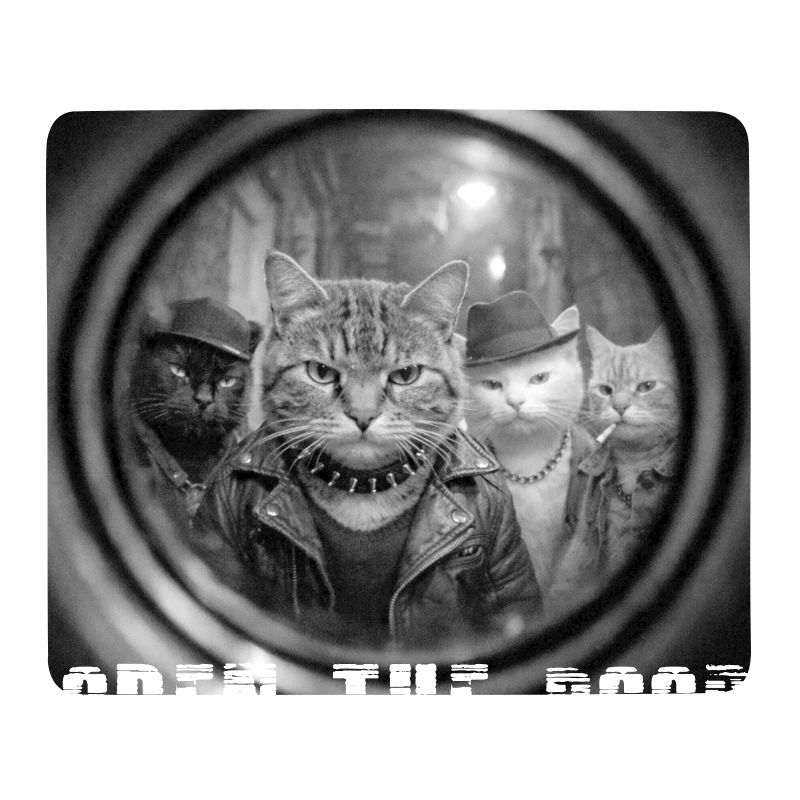 Tür Auf Katzen Noir