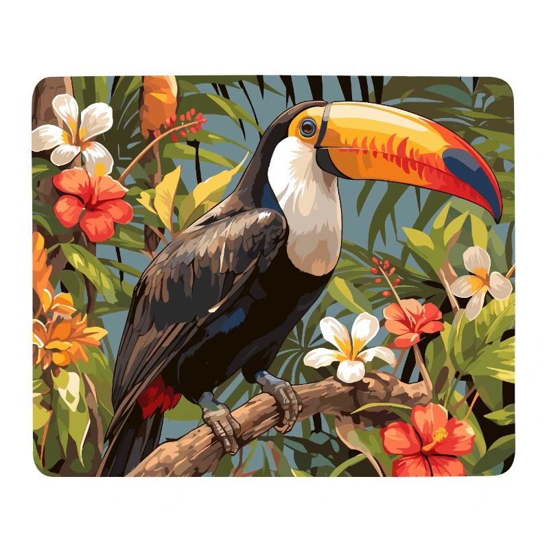 Toucans Toucan