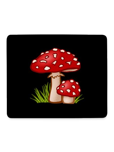 Mushrooms Pilze