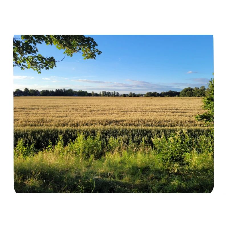 Bayerische Landschaft