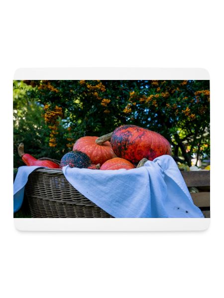 Pumpkin Basket