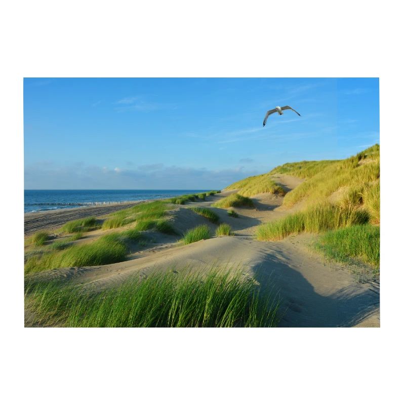 Nordsee Dünen