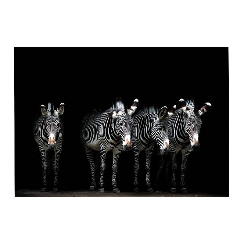 vier Zebras
