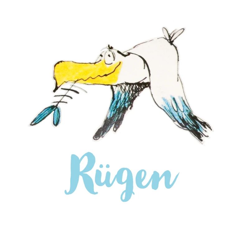 Rügen seagull