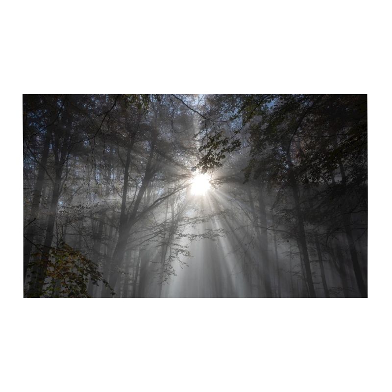 Jahreszeit der Stille