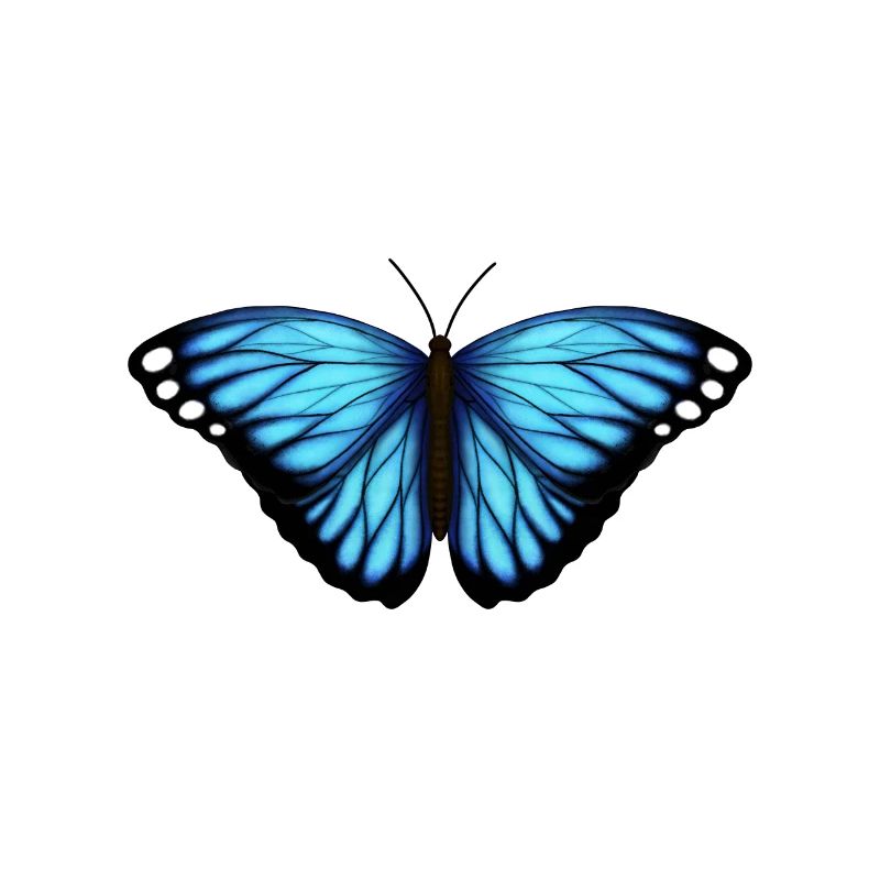 blauer Schmetterling