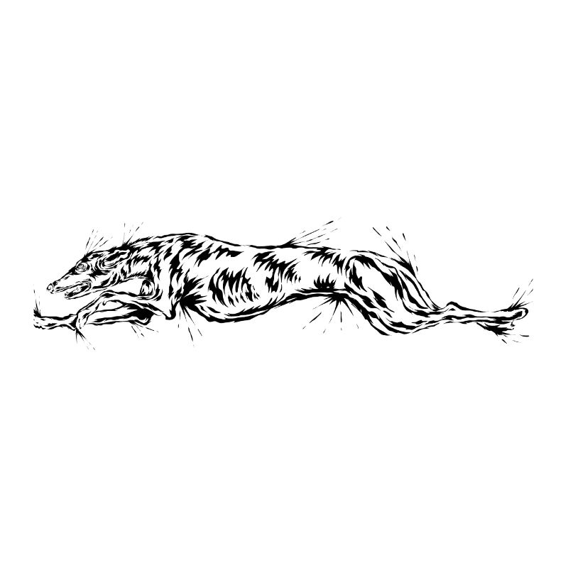 Greyhound