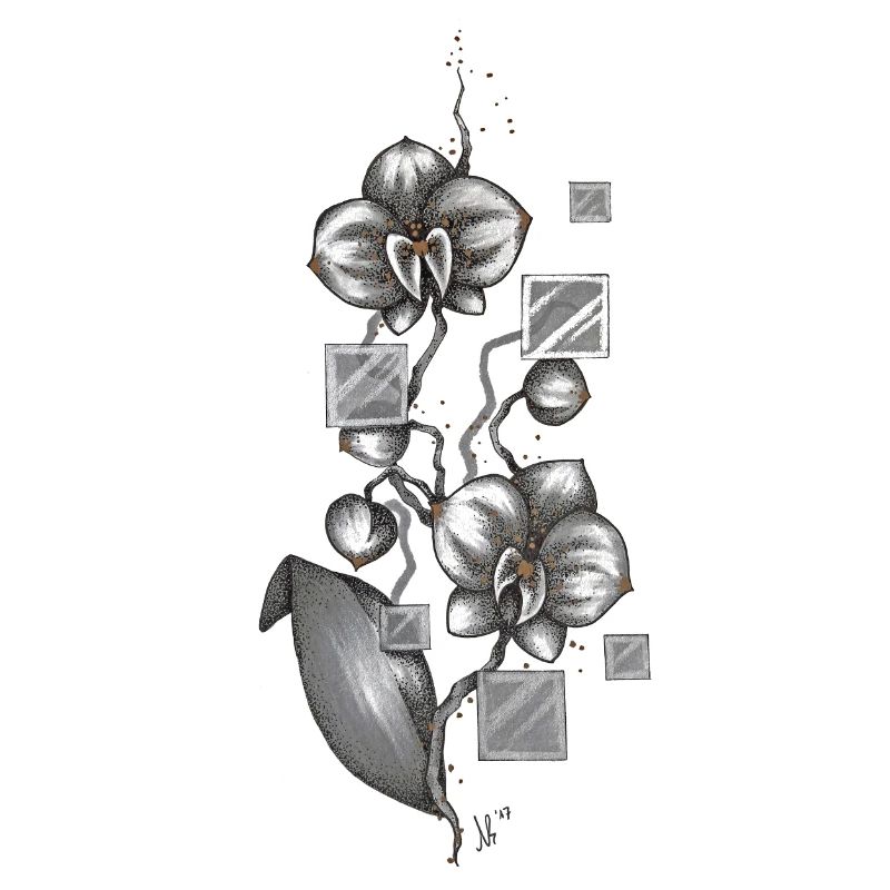 Orchidee