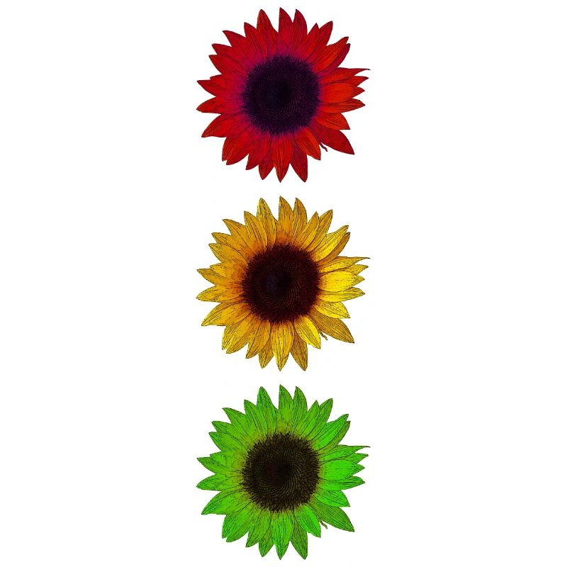 Sonnenblumen Bunte Ampel