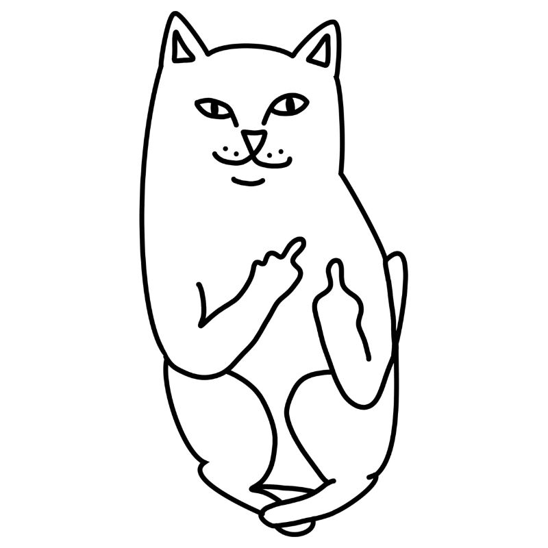 Katze Stinkefinger Skater