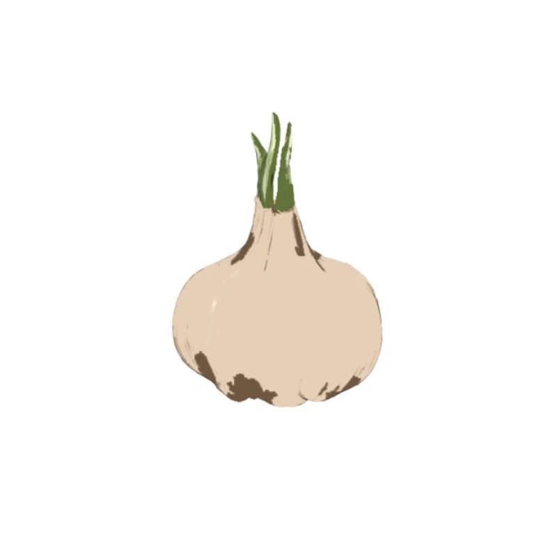 GARLIC