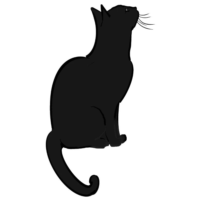 Eine süße Katze