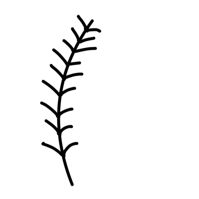 Natur