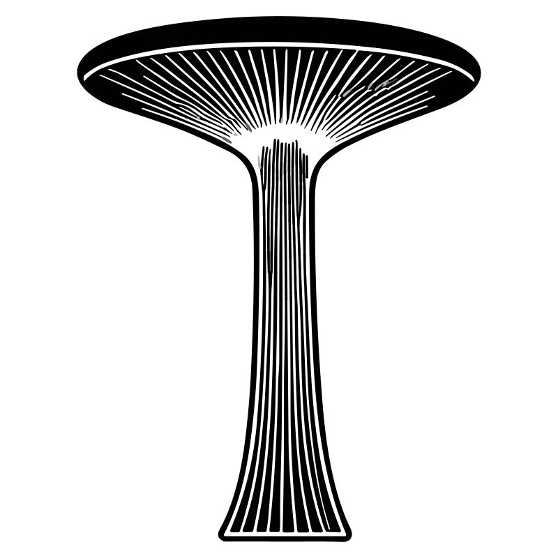 Pilz