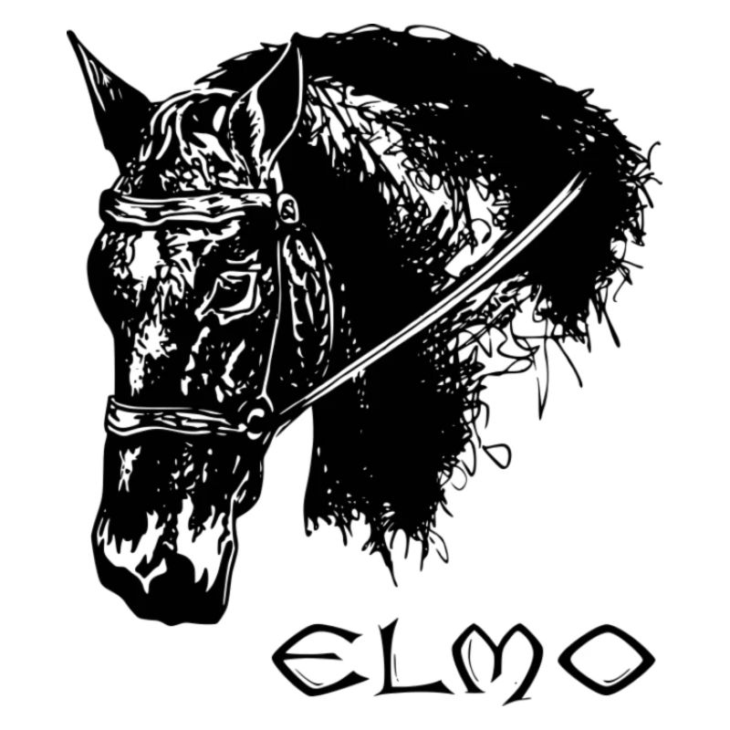 Elmo-Dressage