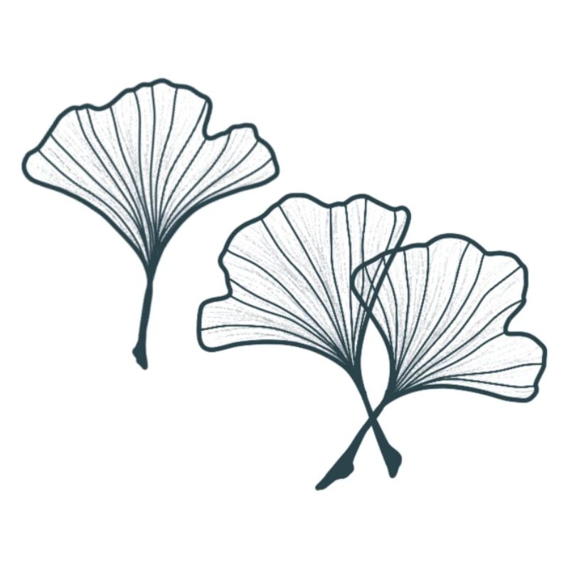 Ginko geht