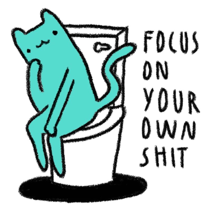 FOCUS KATZE