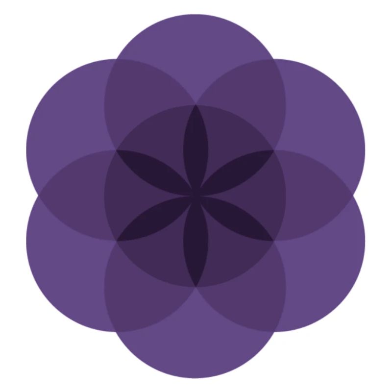 violette Lebensblume