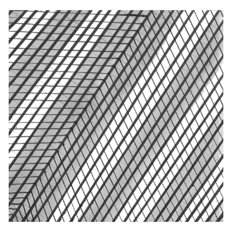 Motiv/4