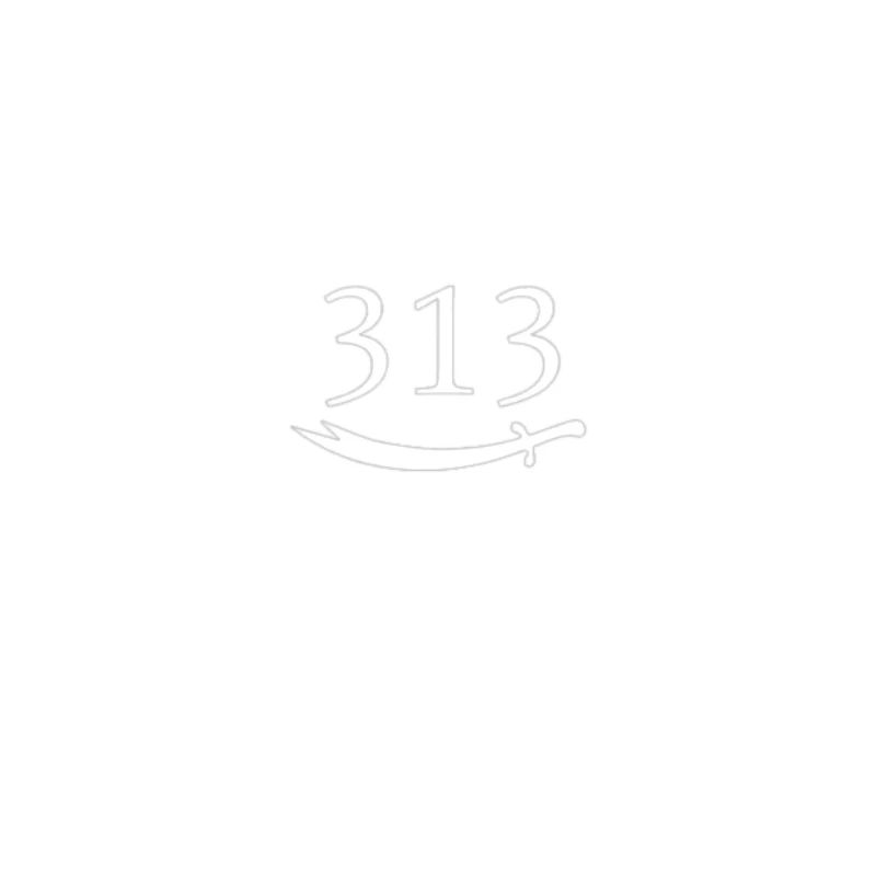 313