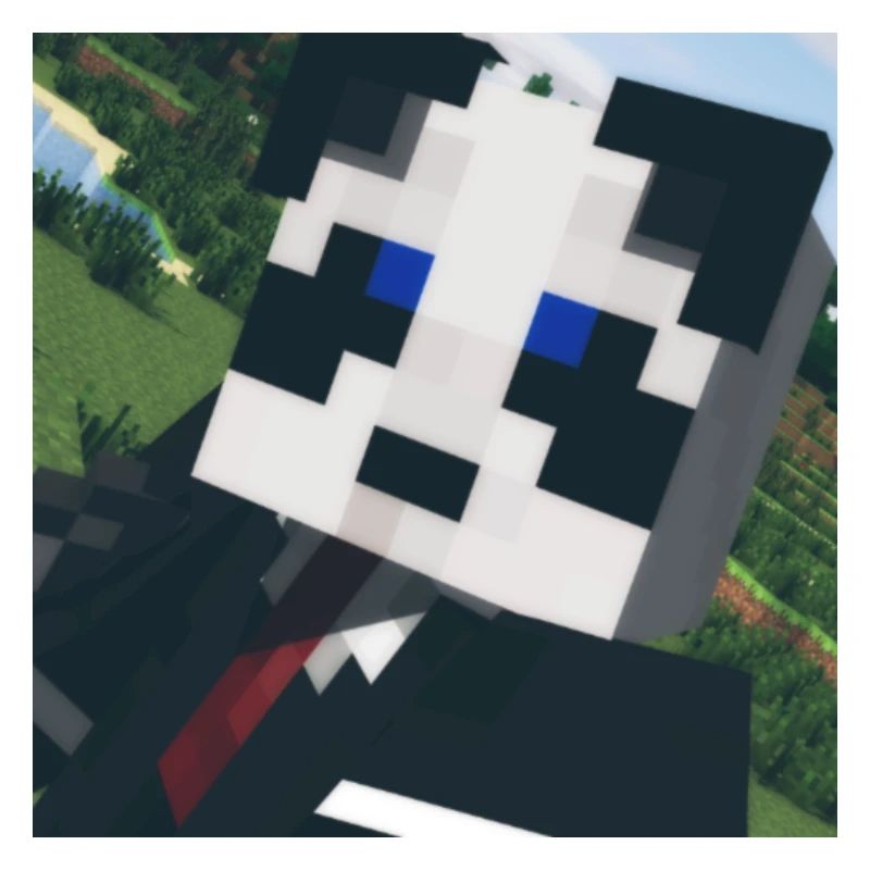 Panda Gamer