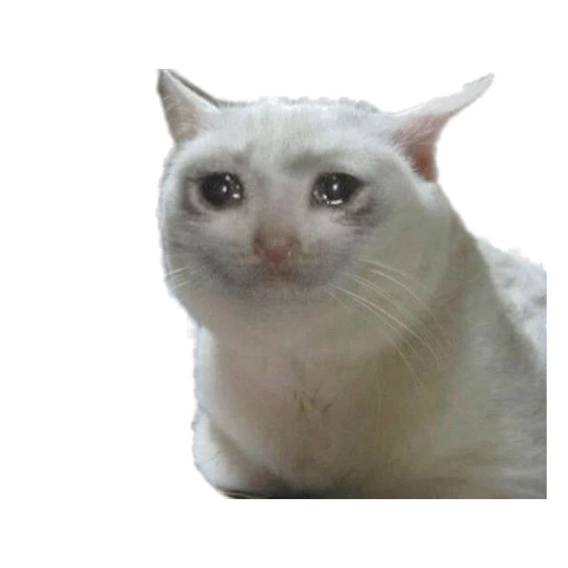 Chat meme