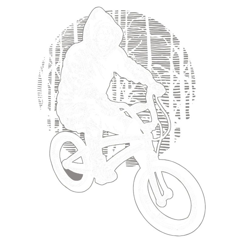 Fahrrad