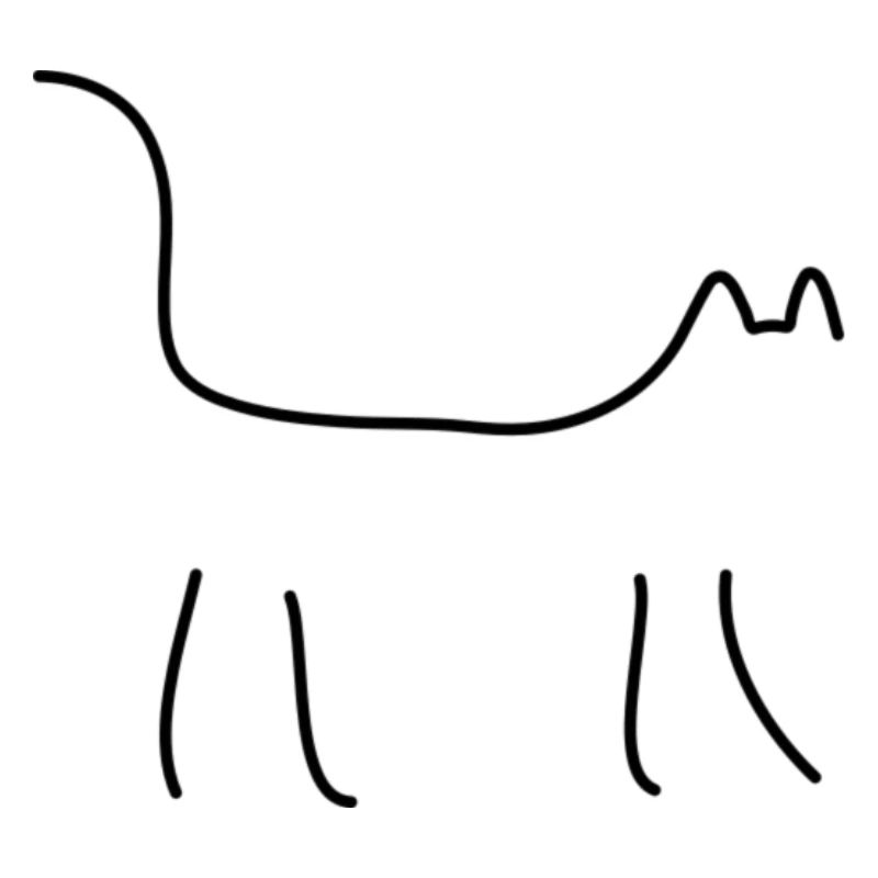 Katze schwarz