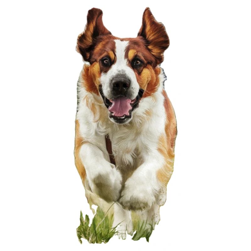 Doggo