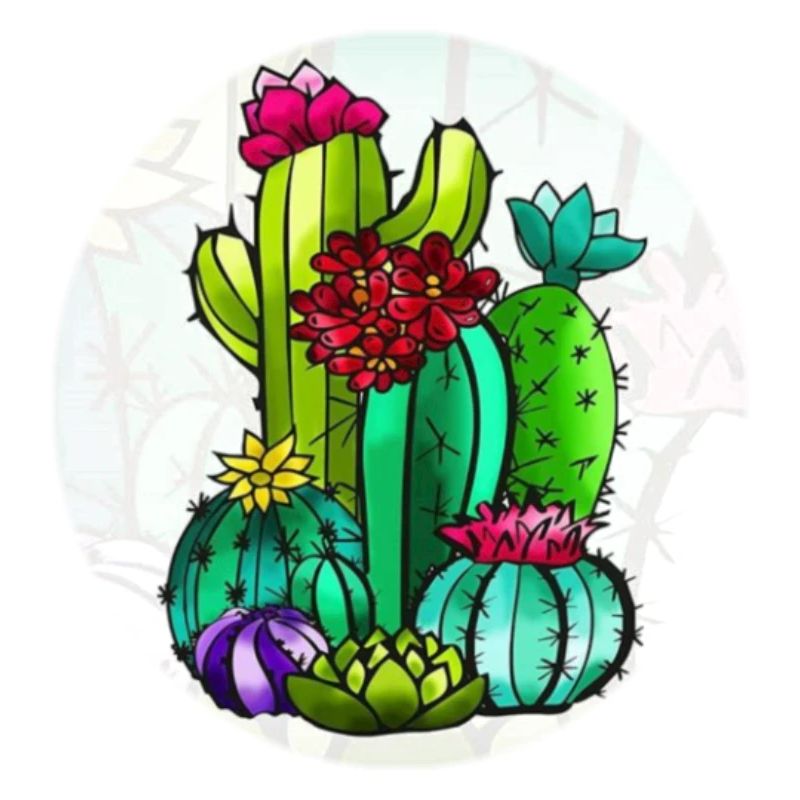 Cactus et fleurs