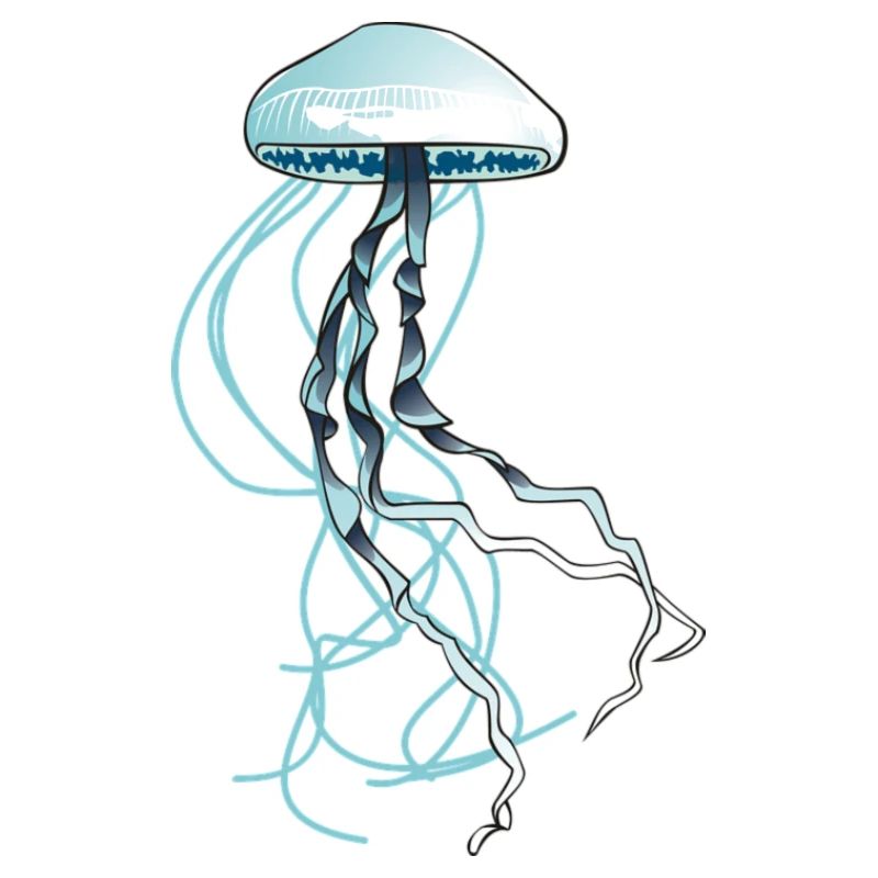 Jellyfish