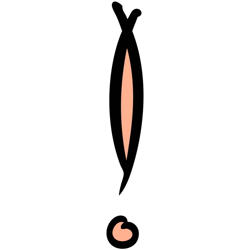 Point d’exclamation décoratif. Dessiné à la main.