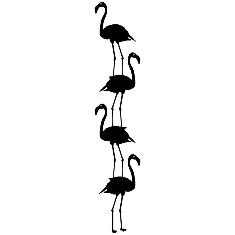 Flamingos Tiere