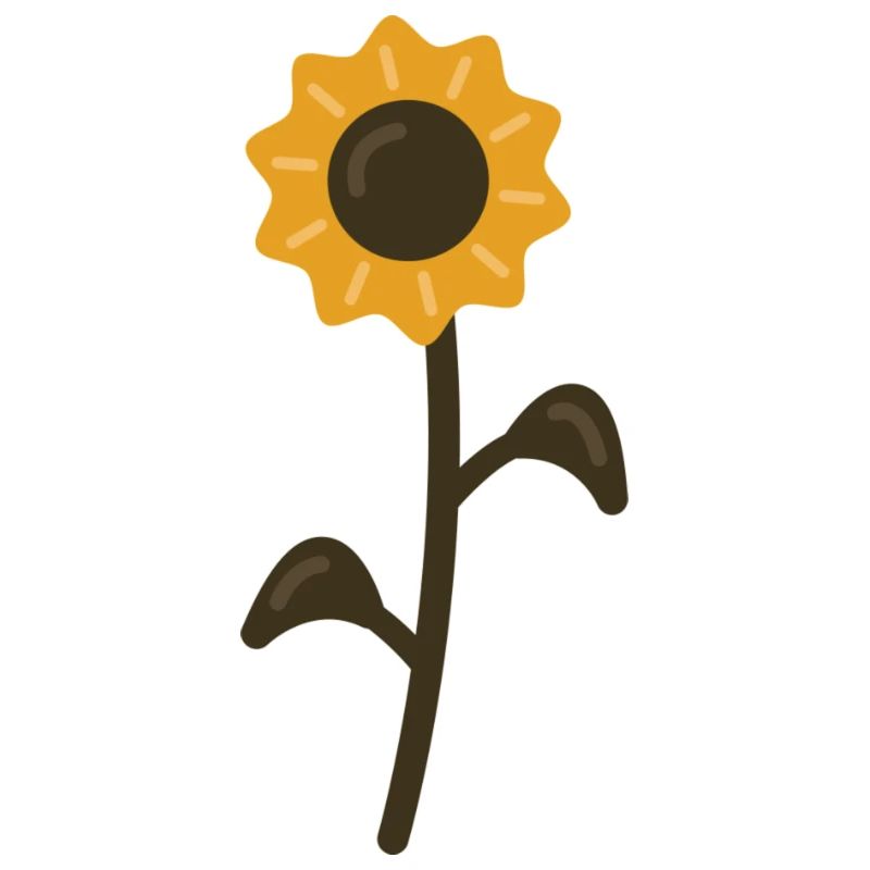 Arabica - sunflower