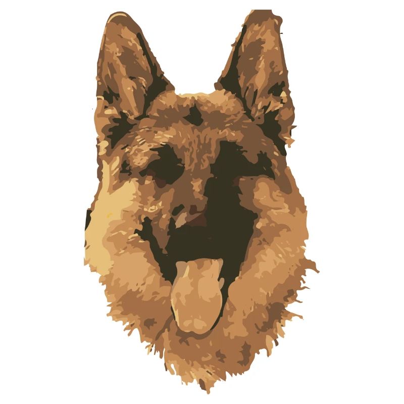 Hund