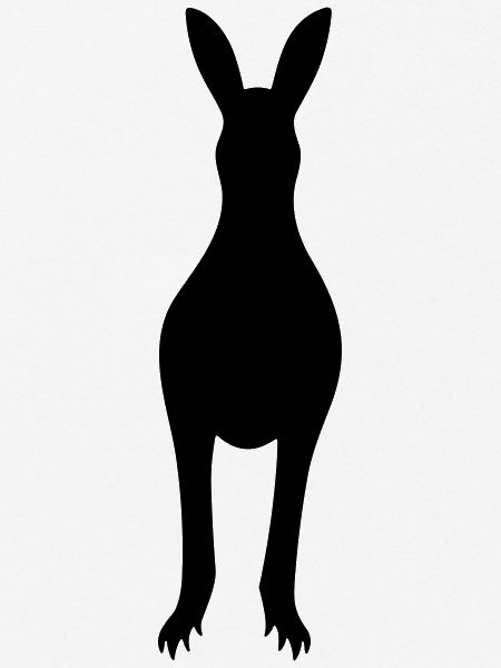 kangaroo