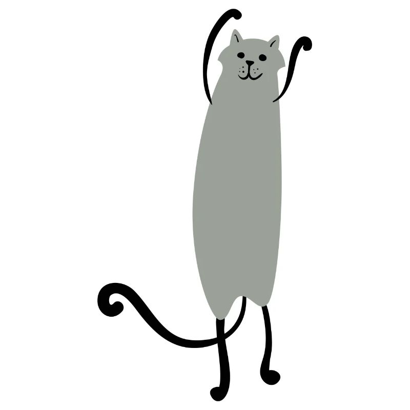 Katze