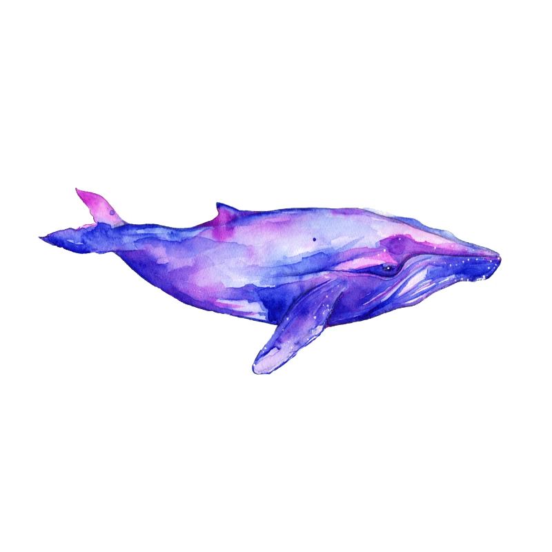 Traumwal