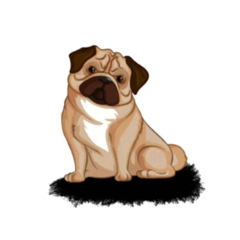 PUG