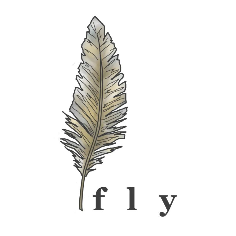 Feder, fliegen