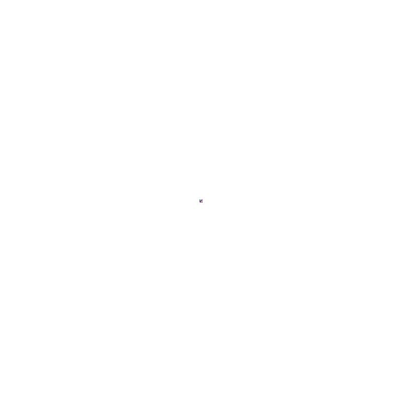 Holographie