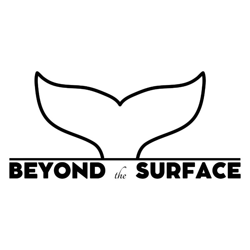 BEYOND the SURFACE