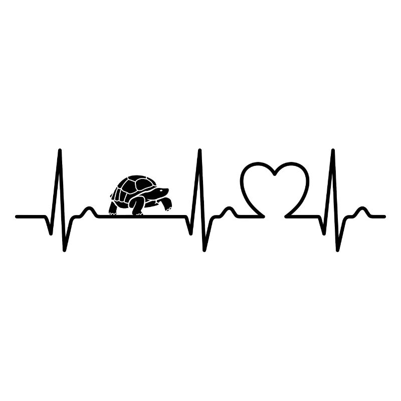 ECG Curve - Heart Curve - Pulse - Turtle