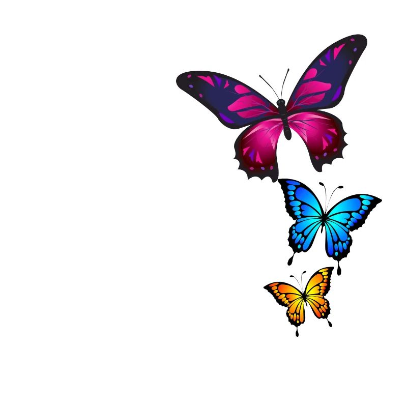 Schmetterlinge, Butterfly, Natur