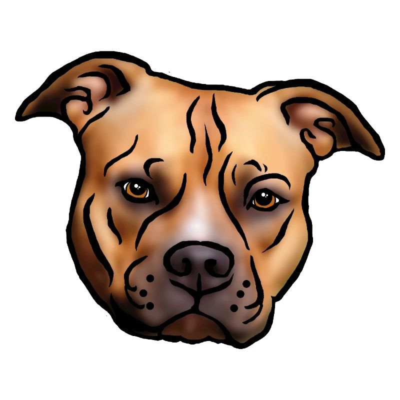 Staffordshire Terrier Kopf