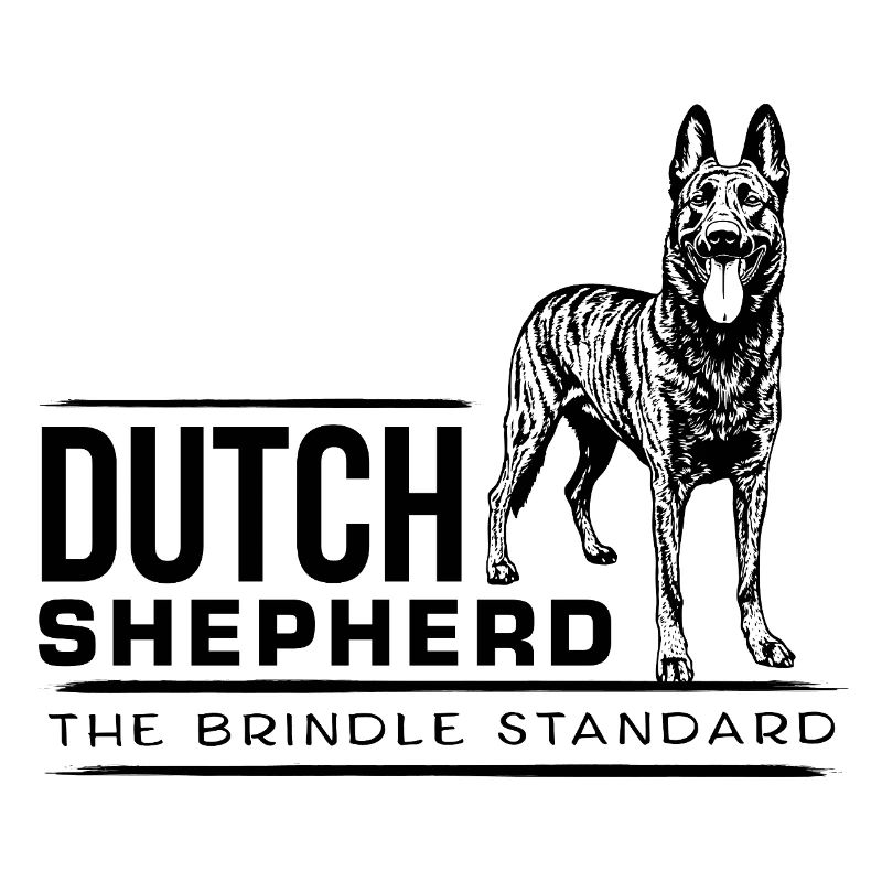 Dutch Shepherd - Dutchie