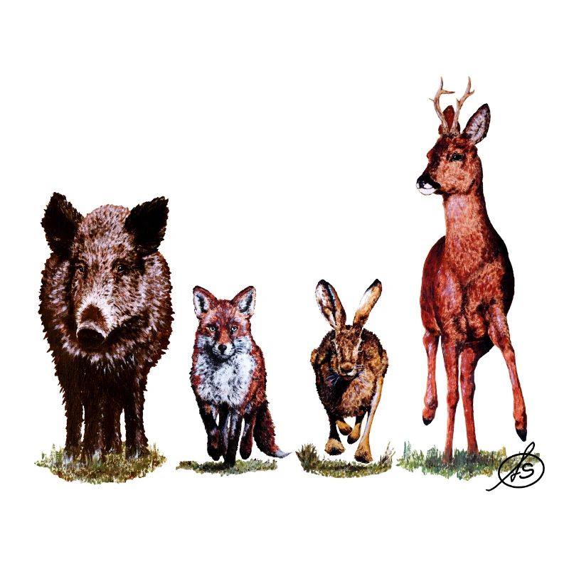 Wild-Quartett