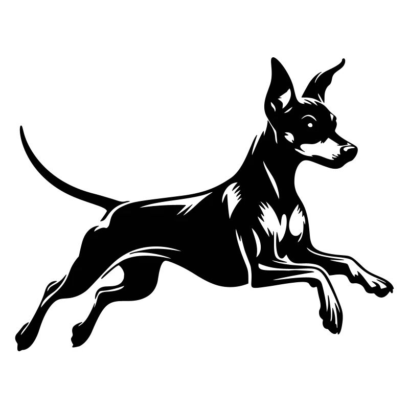Zwergpinscher
