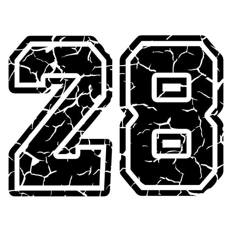 28